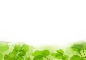 Holistic Renal Care in Vero Beach BG2